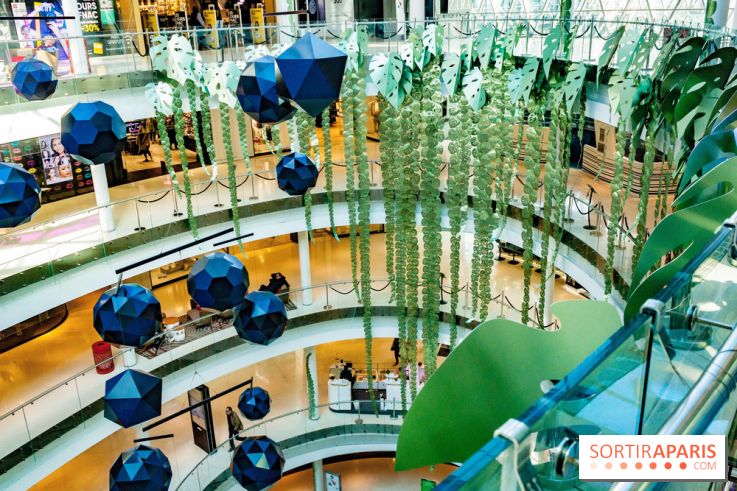 Exposition Monstera Dubia à Beaugrenelle