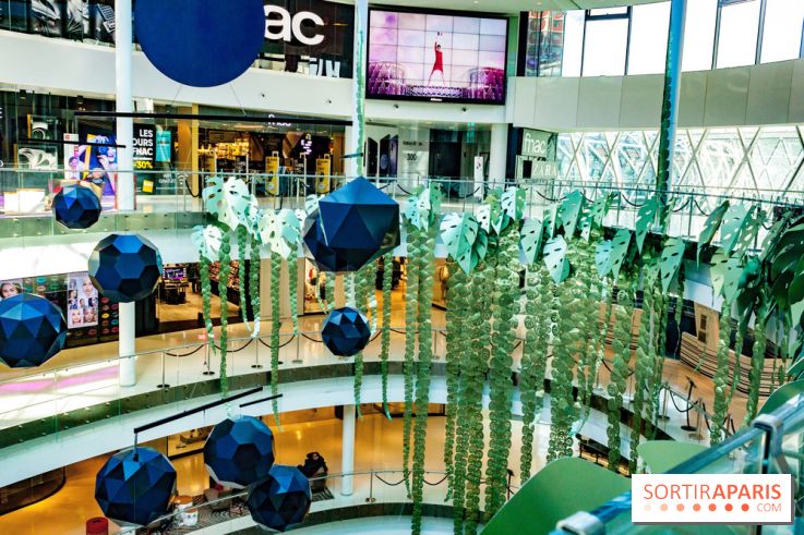 Exposition Monstera Dubia à Beaugrenelle