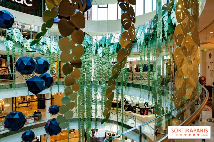 Exposition Monstera Dubia à Beaugrenelle