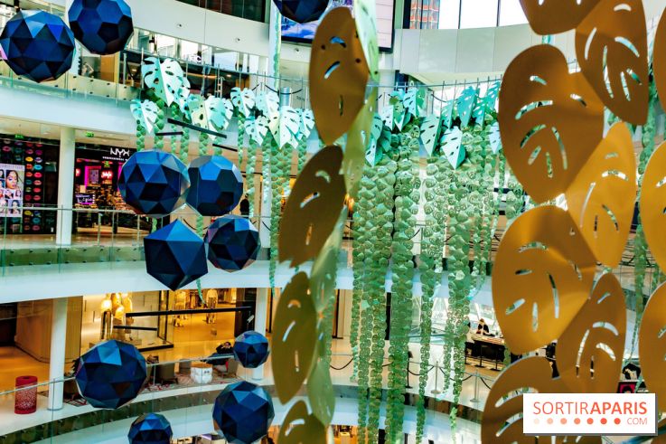 Exposition Monstera Dubia à Beaugrenelle