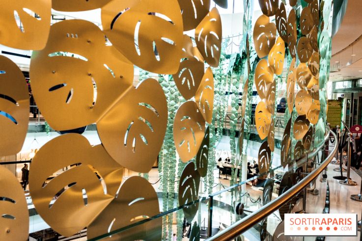 Exposition Monstera Dubia à Beaugrenelle