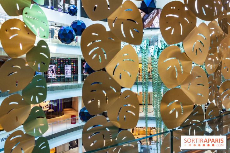 Exposition Monstera Dubia à Beaugrenelle