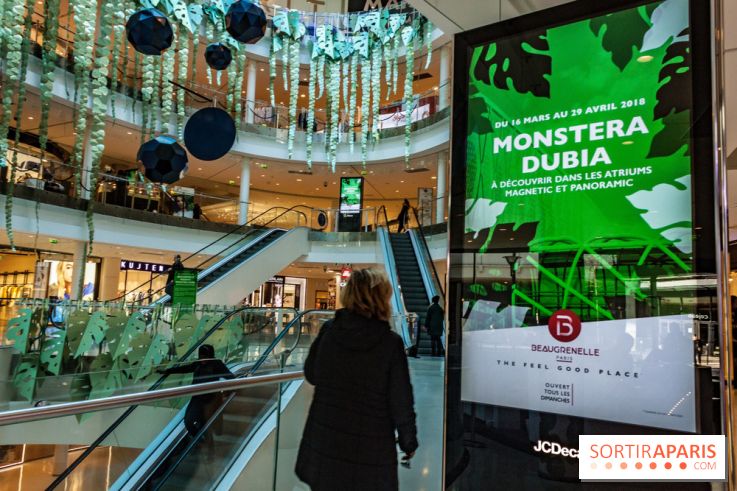 Exposition Monstera Dubia à Beaugrenelle