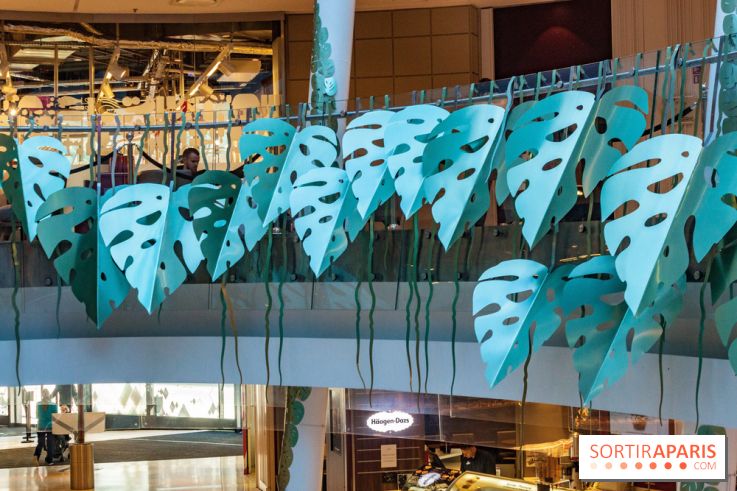 Exposition Monstera Dubia à Beaugrenelle