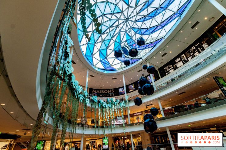 Exposition Monstera Dubia à Beaugrenelle