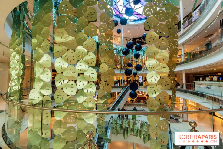 Exposition Monstera Dubia à Beaugrenelle