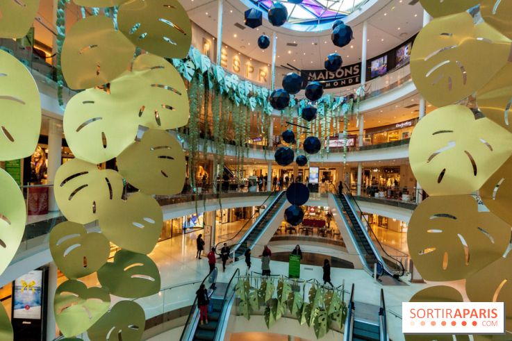 Exposition Monstera Dubia à Beaugrenelle