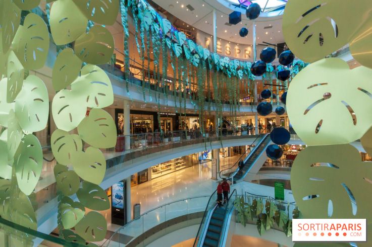 Exposition Monstera Dubia à Beaugrenelle