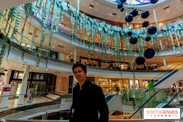 Exposition Monstera Dubia à Beaugrenelle