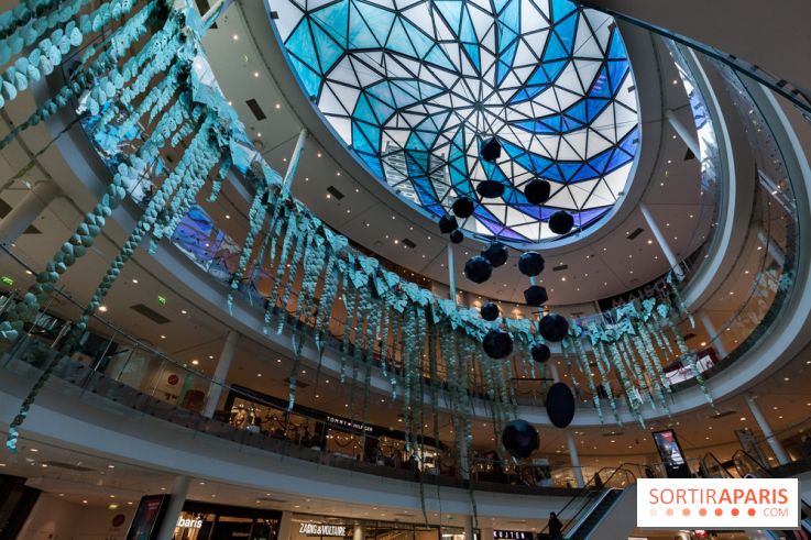 Exposition Monstera Dubia à Beaugrenelle