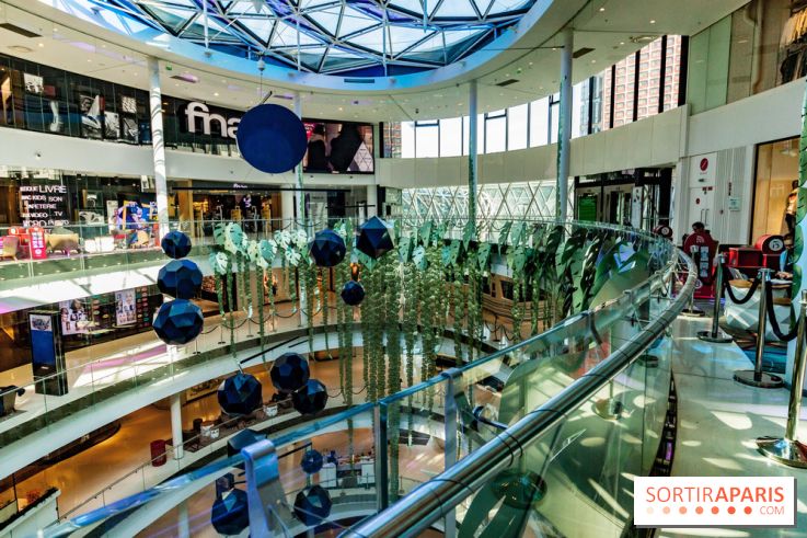 Exposition Monstera Dubia à Beaugrenelle