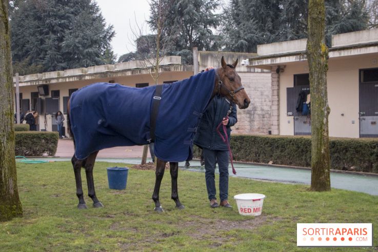 Les Dimanches au Galop 2018