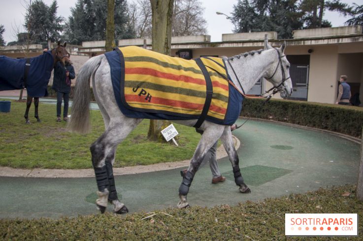 Les Dimanches au Galop 2018