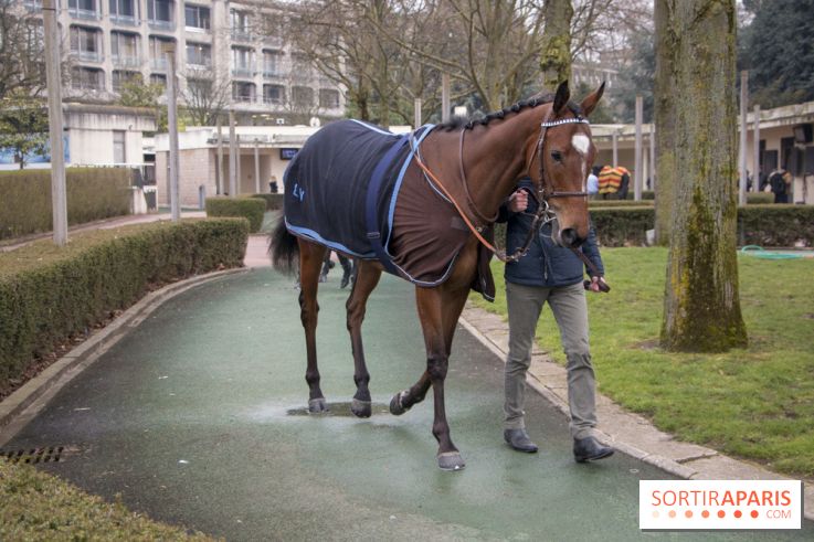 Les Dimanches au Galop 2018