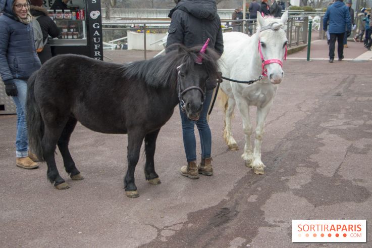 Les Dimanches au Galop 2018