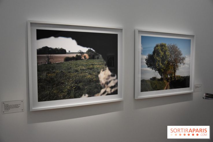 Transphère #5, nos photos de l'exposition de Tomoko Yoneda à la Maison de la Culture du Japon