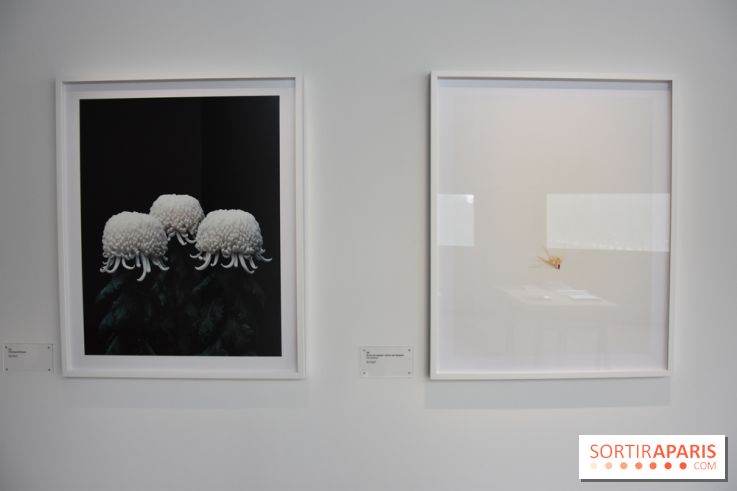 Transphère #5, nos photos de l'exposition de Tomoko Yoneda à la Maison de la Culture du Japon