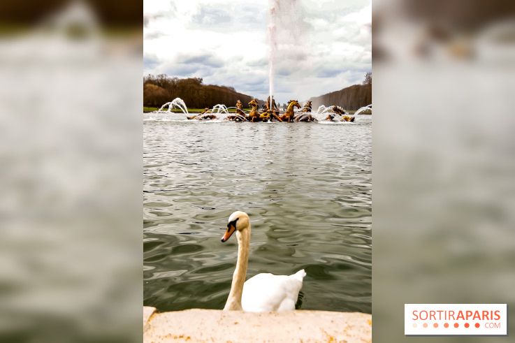 Les Grandes Eaux Musicales 2018 au Château de Versailles