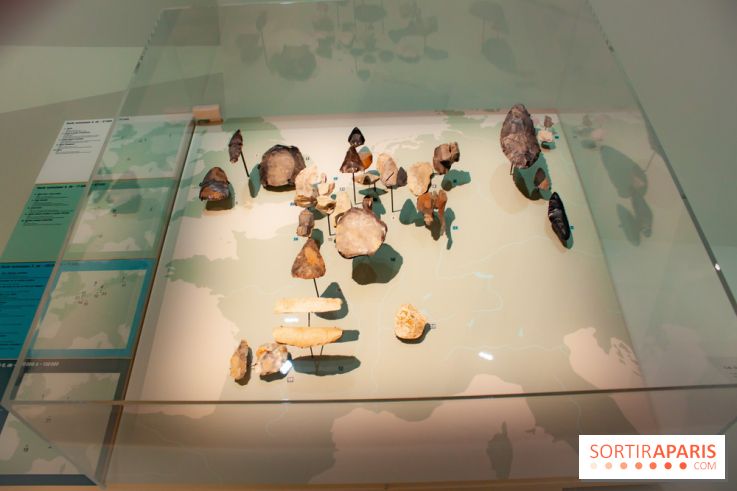 Exposition Néanderthal au Musée de l'Homme