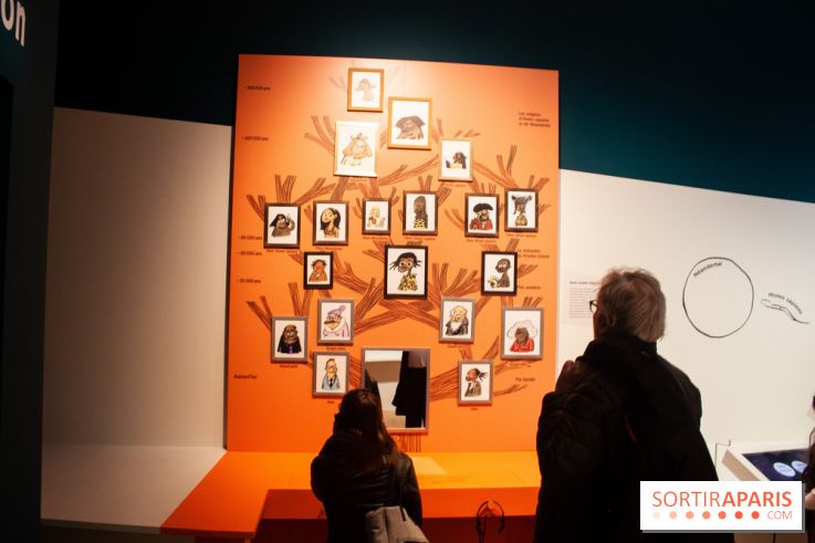 Exposition Néanderthal au Musée de l'Homme