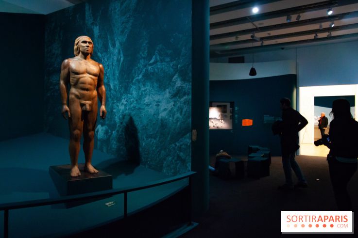 Exposition Néanderthal au Musée de l'Homme