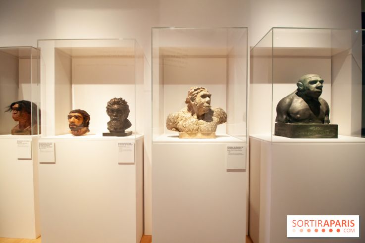Exposition Néanderthal au Musée de l'Homme