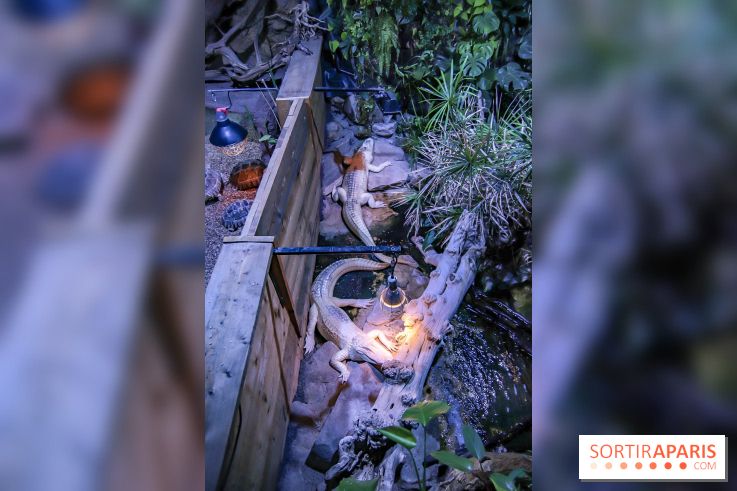 L'Aquarium de la Porte Dorée se renouvelle