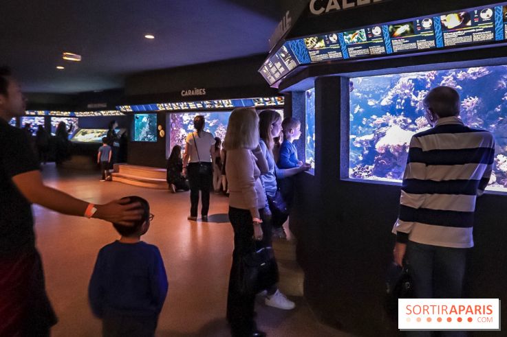 L'Aquarium de la Porte Dorée se renouvelle