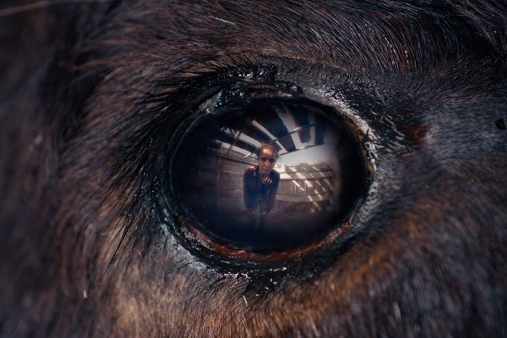 Animale d'Emma Benestan, film de clôture de la Semaine de la Critique 2024