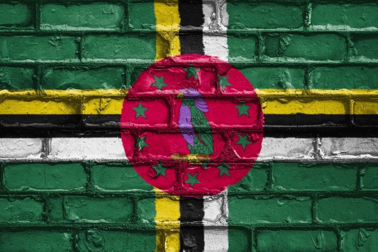 JO de Paris 2024 : Les médailles d'or, d'argent et de bronze de Dominique aux Jeux Olympiques