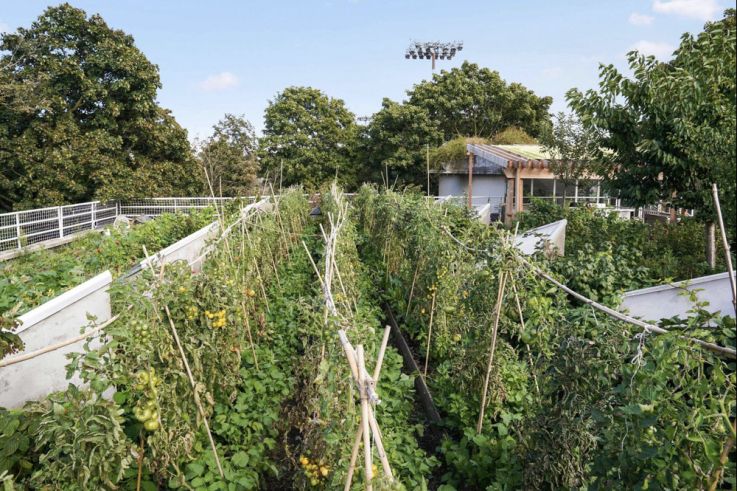 Ferme Suzanne