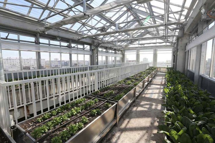 La Cité Maraîchère – Romainville
