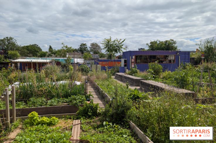 Terre Terre, la ferme-guinguette qui pousse au bord du canal à Aubervilliers (93)