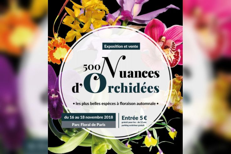 Exposition-vente d'orchidées au Parc Floral de Paris