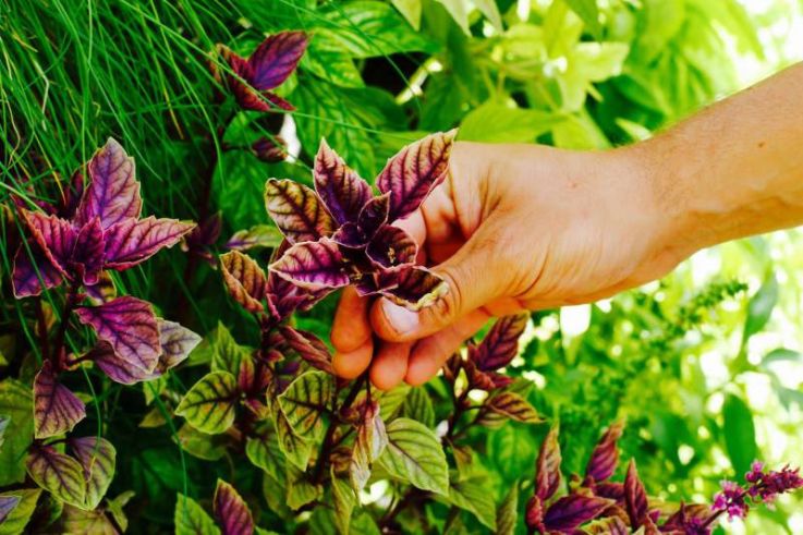 Un Noël solidaire avec Merci Raymond à la Station F