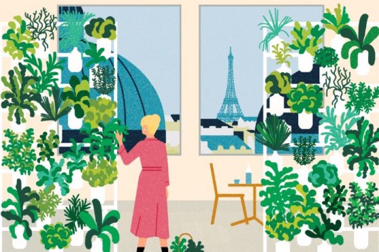 Un mur végétal comestible installé au Printemps du Goût