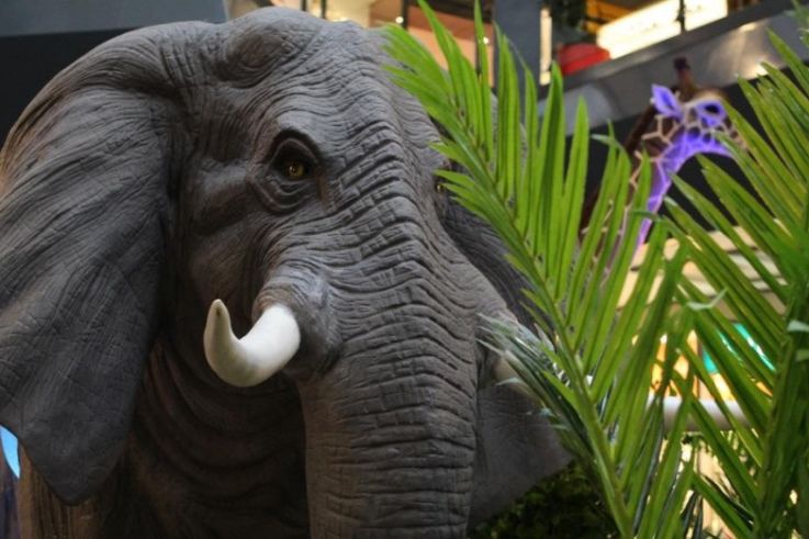 Les animaux de la savane débarquent à Parly 2