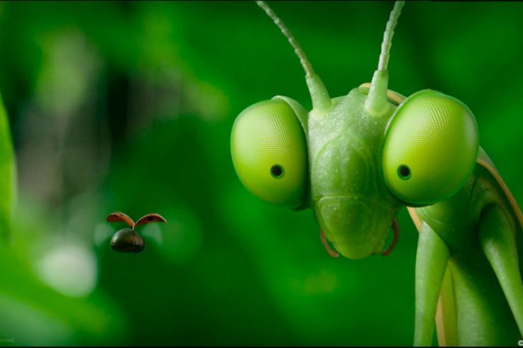 Découvrez les coulisses du film d'animation 'Minuscule' au MK2 Bibliothèque