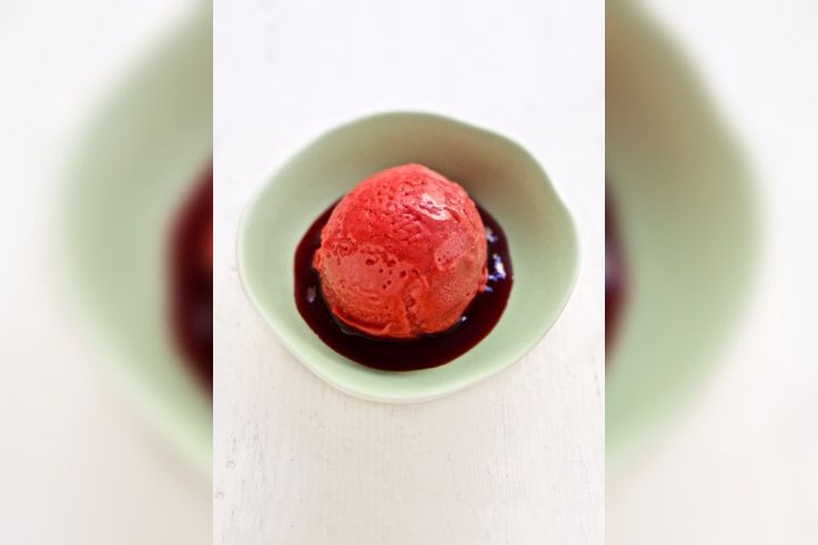 Les sorbets fruités de Christophe Michalak pour l'été 2019