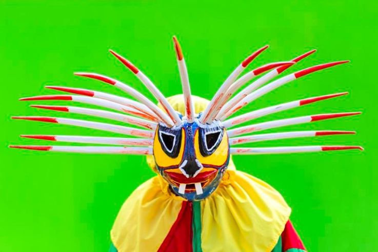 Exposition From Tokyo to Puerto Rico à la 193 Gallery