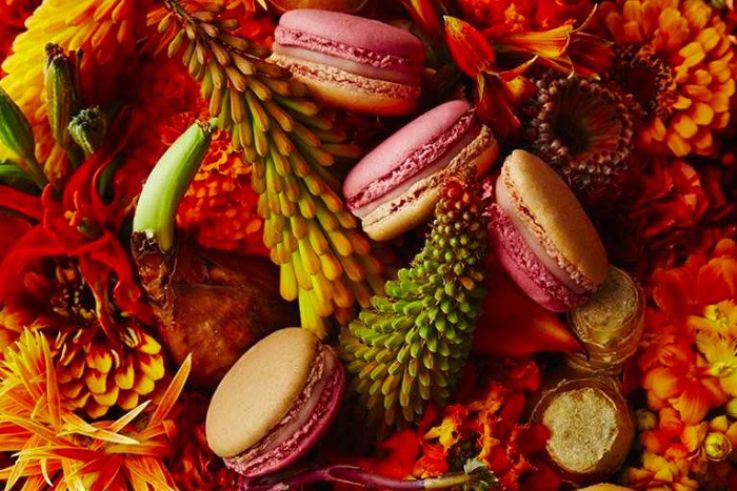Une Invitation aux Voyages, la nouvelle collection de macarons de Pierre Hermé