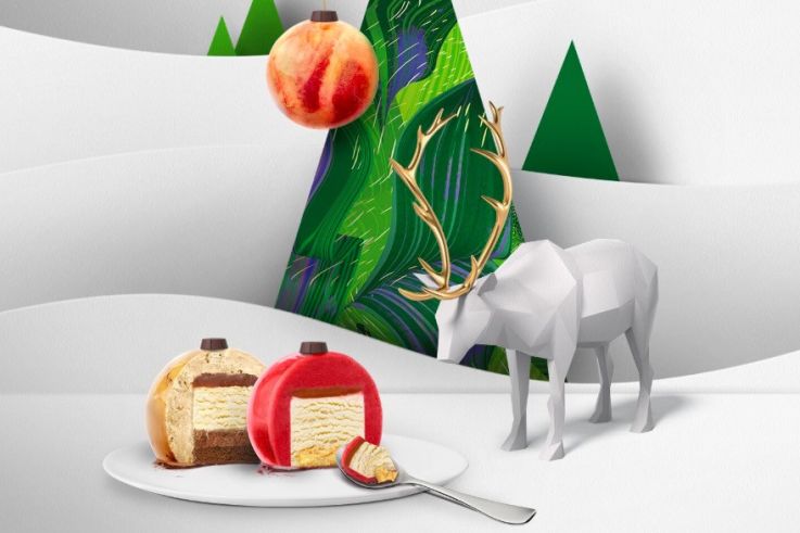 Bûche de Noël 2019 glacée by Häagen-Dazs