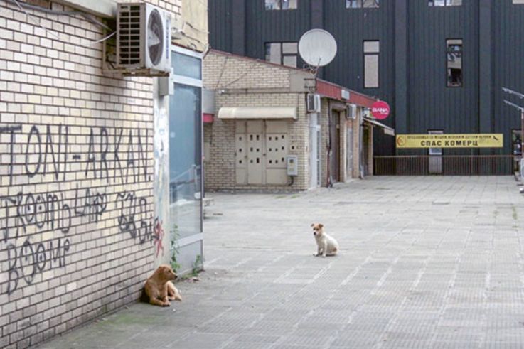 Cinema du Réel - Festival International de Films Documentaires 2020