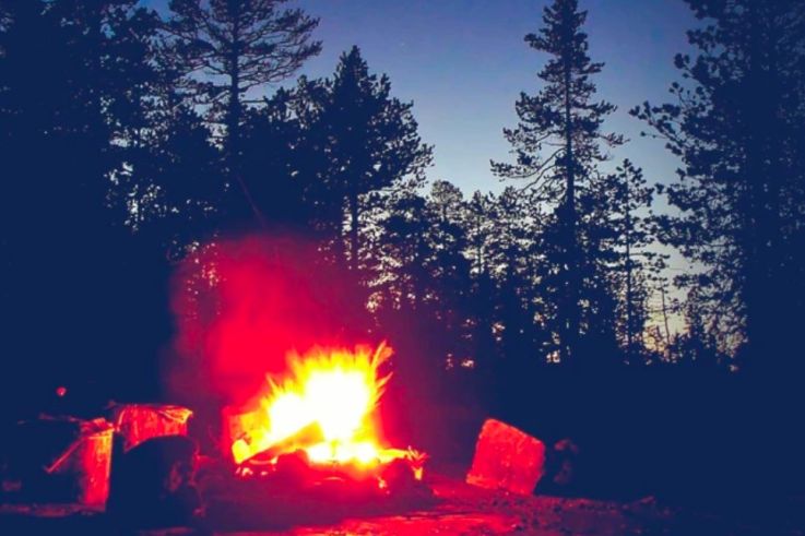 La Veillée fête ses 5 ans au Grand Rex