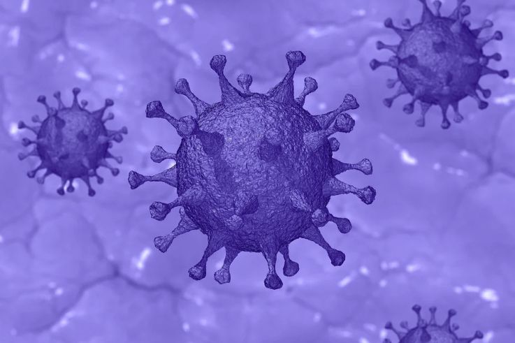 Coronavirus : Des traces du virus retrouvées dans du sperme