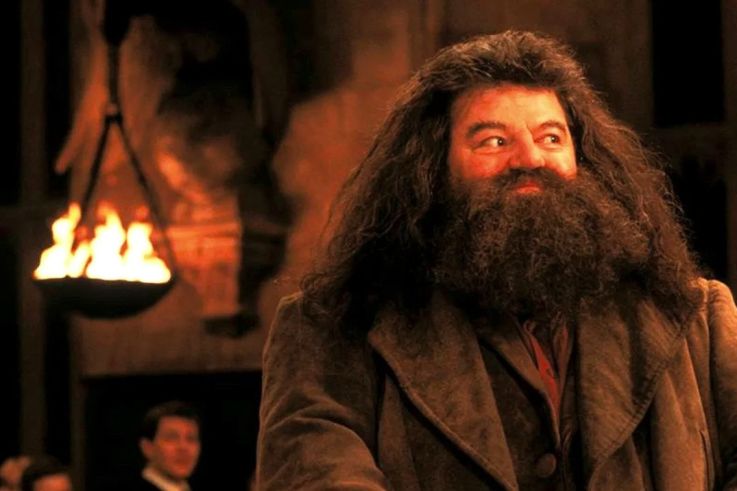 Harry Potter : Robbie Coltrane, L'acteur Qui Jouait Hagrid, Est Mort à ...