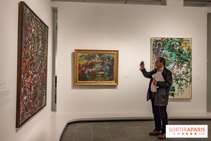 Les Nymphéas et artistes abstraits au Musée de l'Orangerie