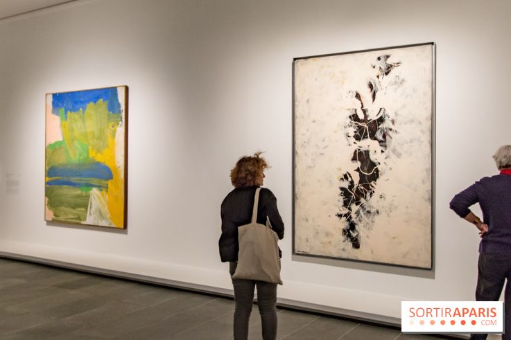 Les Nymphéas et artistes abstraits au Musée de l'Orangerie