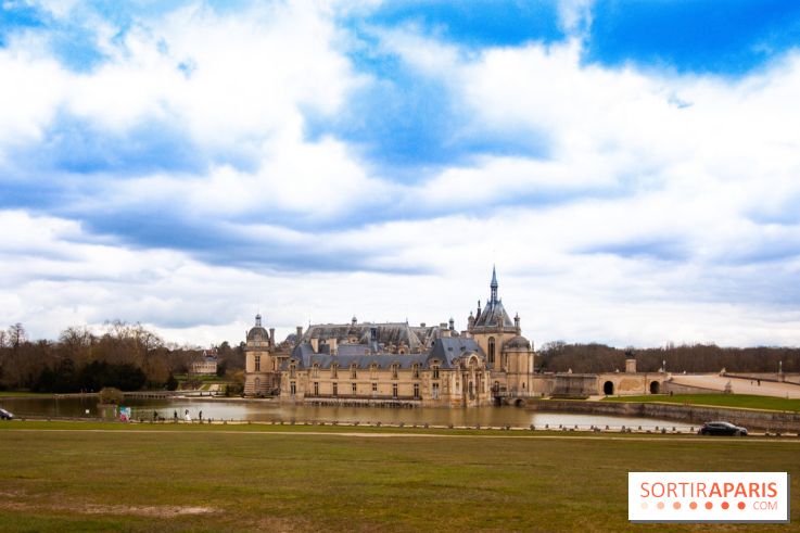 Nature, le spectacle équestre à Chantilly