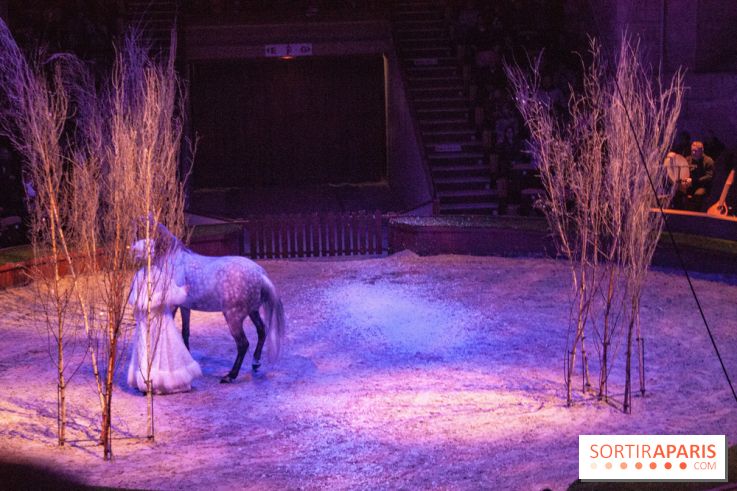 Nature, le spectacle équestre à Chantilly